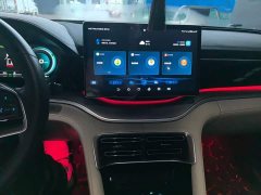 BYD Song Plus New Energy 2021 DM-i 110KM Flagship Plus - ფოტო 9