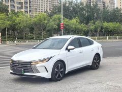 BYD Destroyer 05 2023 Champion Edition DM-i 120KM Luxury - ფოტო 2