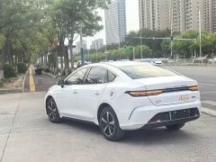 BYD Destroyer 05 2023 Champion Edition DM-i 120KM Luxury - ფოტო 5