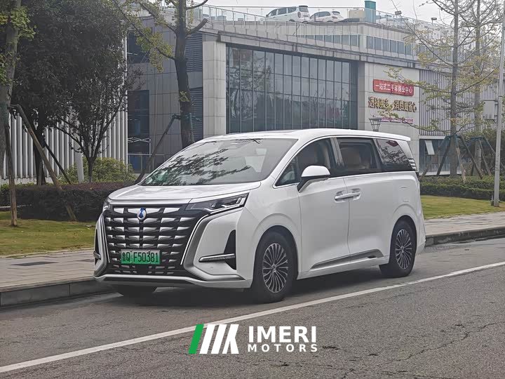 Denza D9 DM-i 980 Four-Wheel Drive Premium