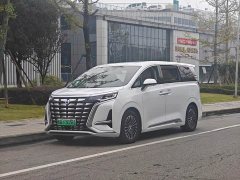 Denza BYD Denza D9 DM-i 980 Four-Wheel Drive Premium - ფოტო 1