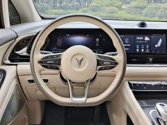 Voyah Dream PHEV Extended Range Luxury Edition - ფოტო 14