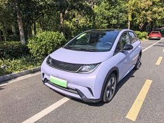 BYD Dolphin Glory Edition 420km Fashion Version - ფოტო 1