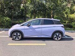 BYD Dolphin Glory Edition 420km Fashion Version - ფოტო 2
