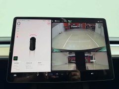 Tesla Model 3 2022 Rear-Wheel Drive - ფოტო 15