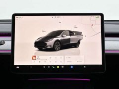 Tesla Model Y Rear-Wheel Drive - ფოტო 8