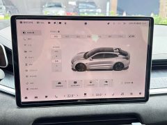 Zeekr 001 YOU Edition 100kWh - ფოტო 16