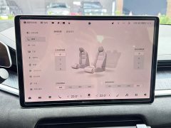 Zeekr 001 YOU Edition 100kWh - ფოტო 17