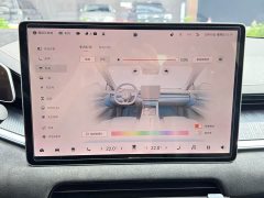 Zeekr 001 YOU Edition 100kWh - ფოტო 18