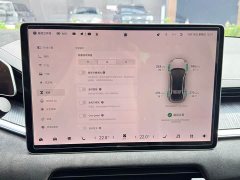 Zeekr 001 YOU Edition 100kWh - ფოტო 19