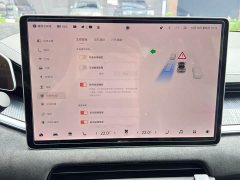 Zeekr 001 YOU Edition 100kWh - ფოტო 20