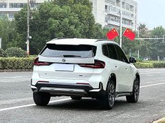 BMW X1 sDrive25Li M Sport Package - ფოტო 6