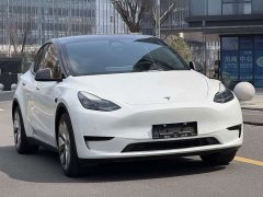 Tesla Model Y Facelift Long Range All-Wheel Drive 3D5 - ფოტო 1