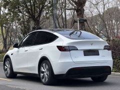 Tesla Model Y Facelift Long Range All-Wheel Drive 3D5 - ფოტო 7