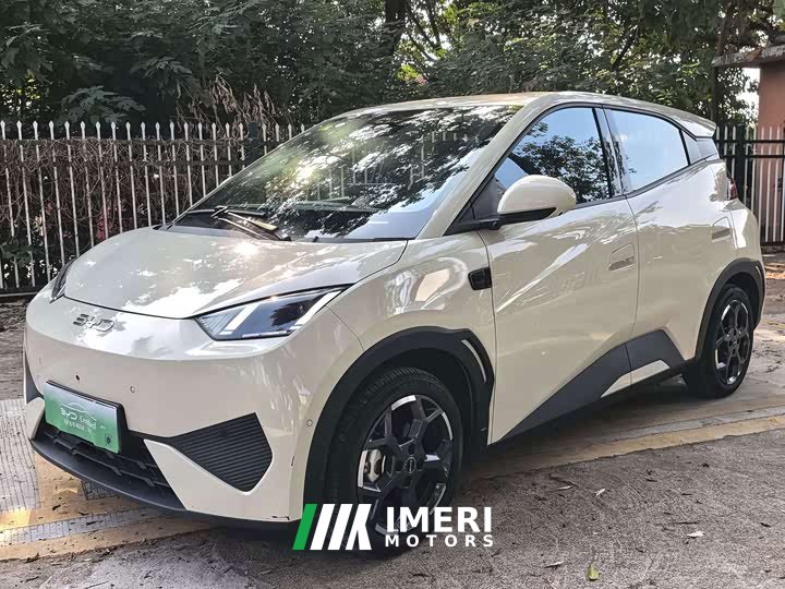 BYD Seagull 305km Freedom Edition - ავტომობილი ჩინეთიდან