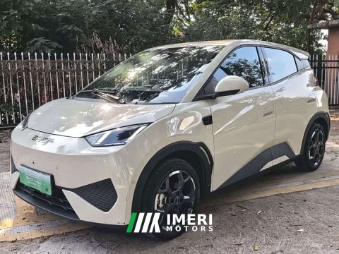 2025 BYD Seagull 305km Freedom Edition - ავტომობილი ჩინეთიდან
