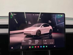 Tesla Model Y Rear-Wheel Drive - ფოტო 13