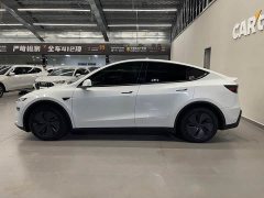 Tesla Model Y Rear-Wheel Drive - ფოტო 8