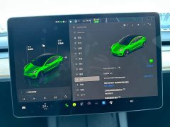 Tesla Model 3 Rear-Wheel Drive - ფოტო 13