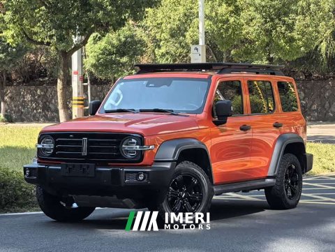 2021 Tank 300 Off-Road Edition 2.0T Challenger - ავტომობილი ჩინეთიდან