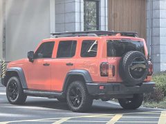 Tank 300 Off-Road Edition 2.0T Challenger - ფოტო 4