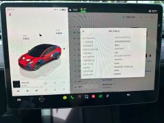 Tesla Model 3 Rear-Wheel Drive - ფოტო 9
