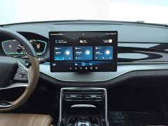 BYD Tang New Energy 2021 DM-i 112KM Premium Edition - ფოტო 13
