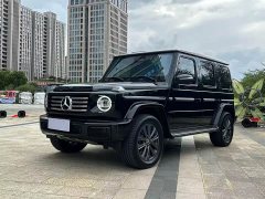 Mercedes-Benz G-Class G 500 - ფოტო 1