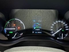 Toyota Sienna 2023 2.5L Hybrid Luxury - ფოტო 12