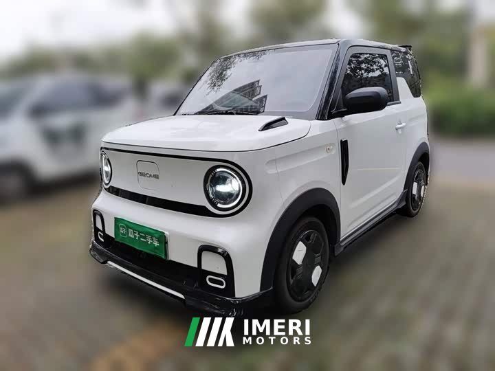 Geely Panda 210km Panda Kart