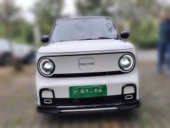 Geely Panda 210km Panda Kart - ფოტო 2