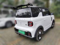 Geely Panda 210km Panda Kart - ფოტო 4