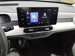 Geely Panda 210km Panda Kart - ფოტო 9