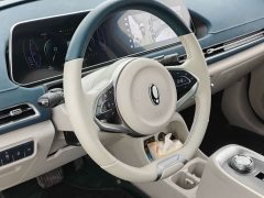 ORA Good Cat 400km Standard Range Athena Edition Ternary Lithium - ფოტო 14
