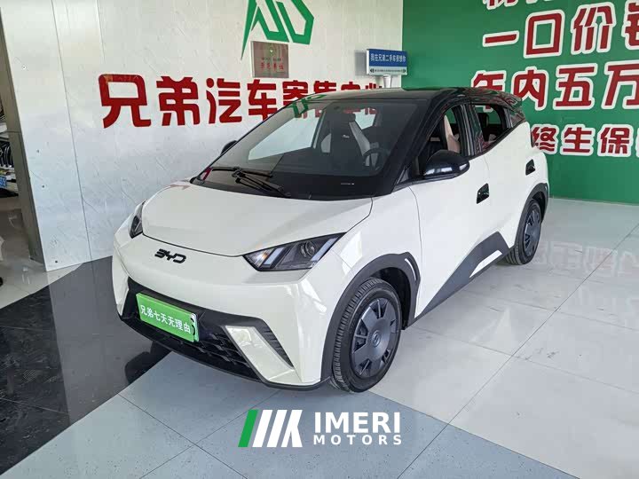 BYD Seagull 305km Vitality Edition - ავტომობილი ჩინეთიდან