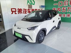 BYD Seagull 305km Vitality Edition - ფოტო 1