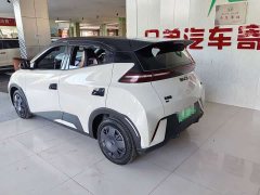 BYD Seagull 305km Vitality Edition - ფოტო 12