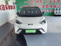 BYD Seagull 305km Vitality Edition - ფოტო 2