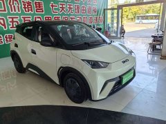 BYD Seagull 305km Vitality Edition - ფოტო 3