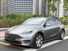 Tesla Model Y Rear-Wheel Drive - ფოტო 1