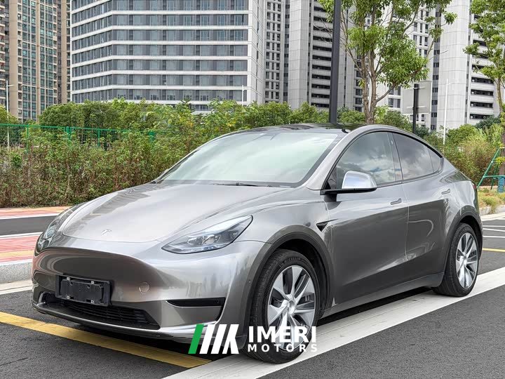 Tesla Model Y Rear-Wheel Drive
