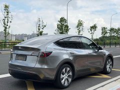 Tesla Model Y Rear-Wheel Drive - ფოტო 5