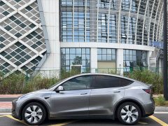 Tesla Model Y Rear-Wheel Drive - ფოტო 6