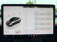 Tesla Model Y Rear-Wheel Drive - ფოტო 9