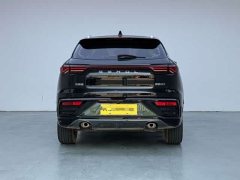 Sihao Sehol QX 300T DCT Luxury Smart Connect Edition - ფოტო 5