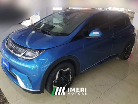 2022 BYD Dolphin 420km Fashion Edition