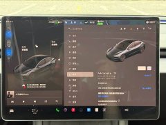 Tesla Model 3 Long Range All-Wheel Drive - ფოტო 17