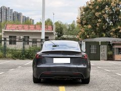 Tesla Model 3 Long Range All-Wheel Drive - ფოტო 5