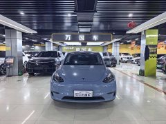 Tesla Model Y 2022 Performance All-Wheel Drive - ფოტო 1
