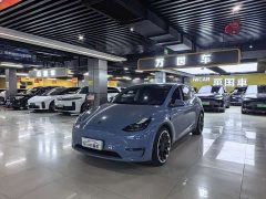 Tesla Model Y 2022 Performance All-Wheel Drive - ფოტო 2